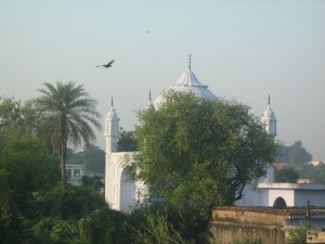 Khwaja Saifuddin Tomb 2